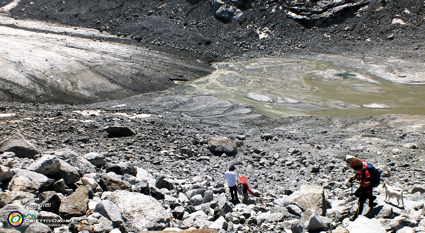 68 Ci abbassiamo alla base del fronte del ghiacciaio.JPG